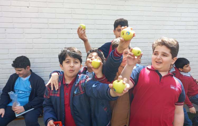 توزیع میان وعده 2