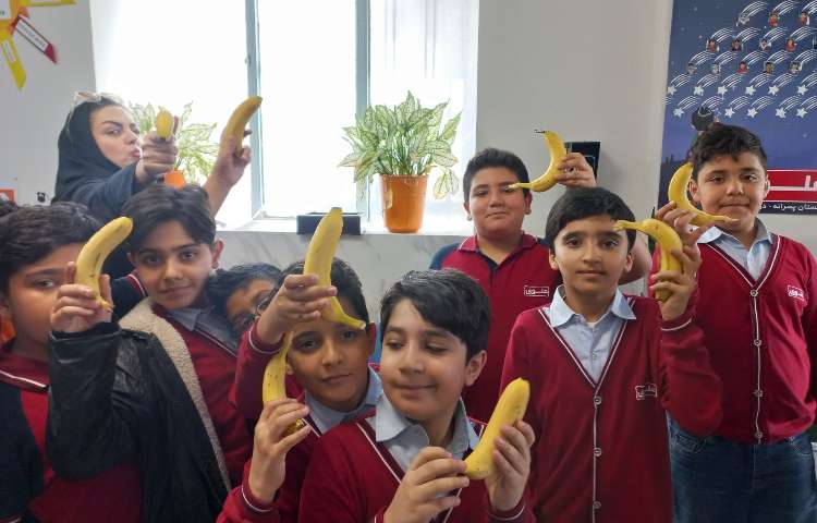 توزیع میان وعده 2