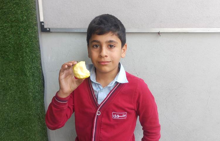 توزیع میان وعده 2