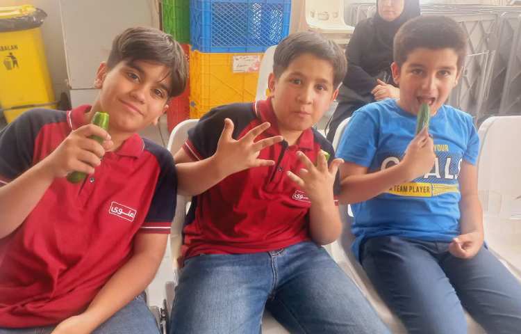 توزیع میان وعده 2