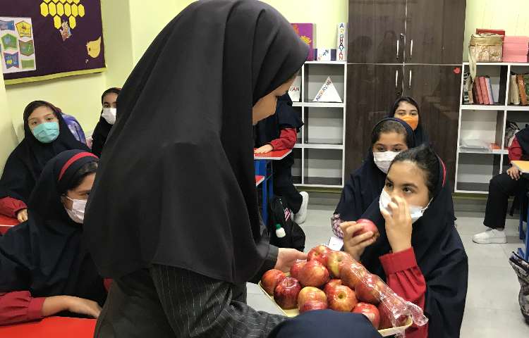 توزیع میان وعده 3