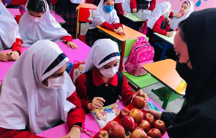 توزیع میان وعده 3