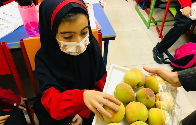 توزیع میان وعده 3