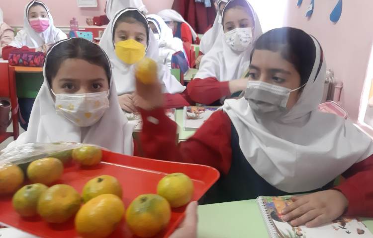 توزیع میان وعده 3