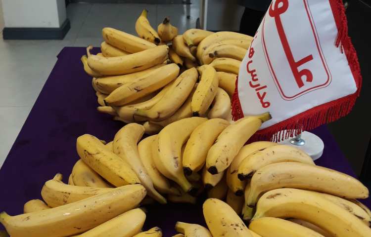 توزیع میان وعده 3