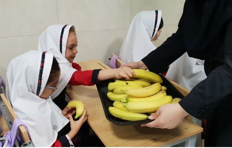 توزیع میان وعده 3