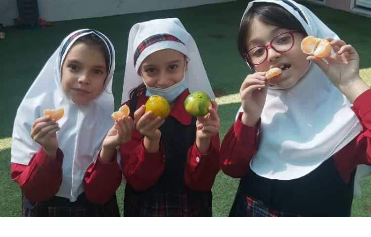 توزیع میان وعده 3