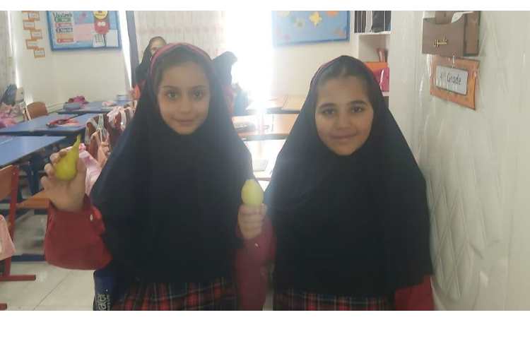 توزیع میان وعده 3