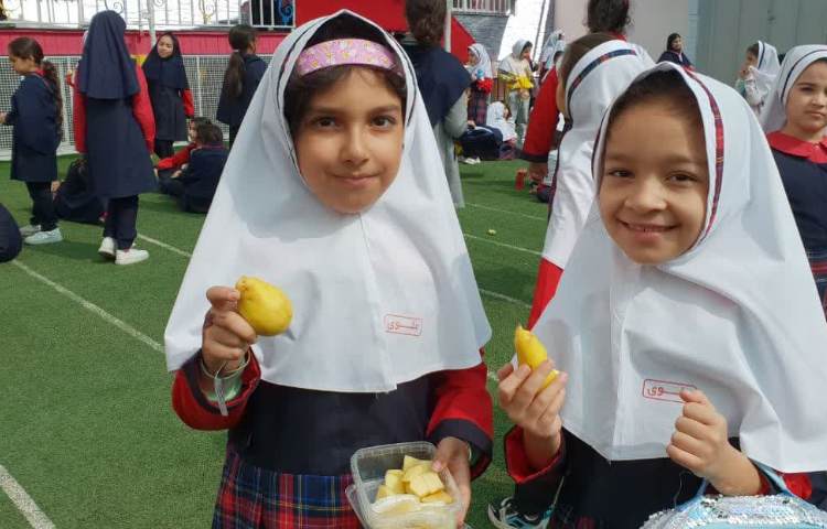 توزیع میان وعده 3