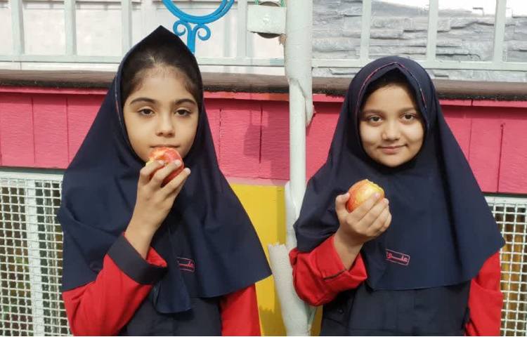 توزیع میان وعده 3