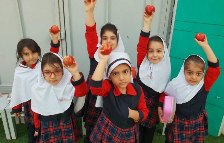 توزیع میان وعده 3