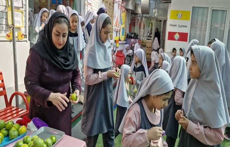 توزیع میان وعده 3