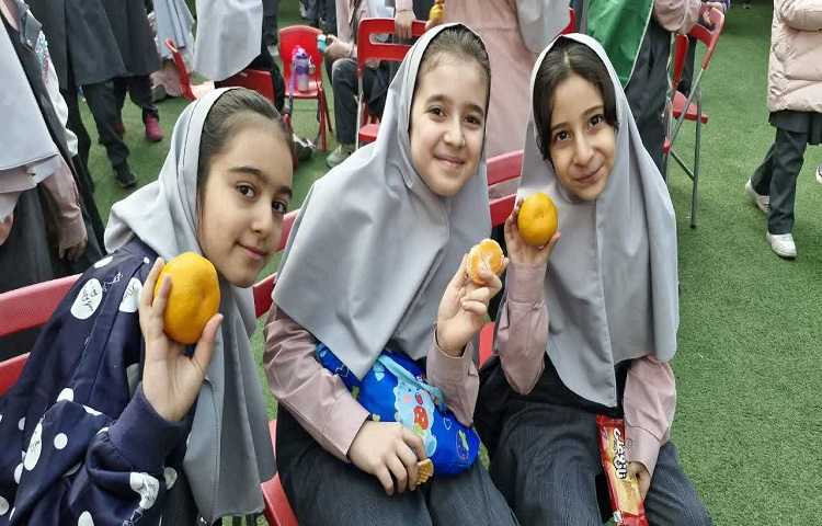 توزیع میان وعده 3