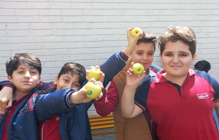 توزیع میان وعده 3