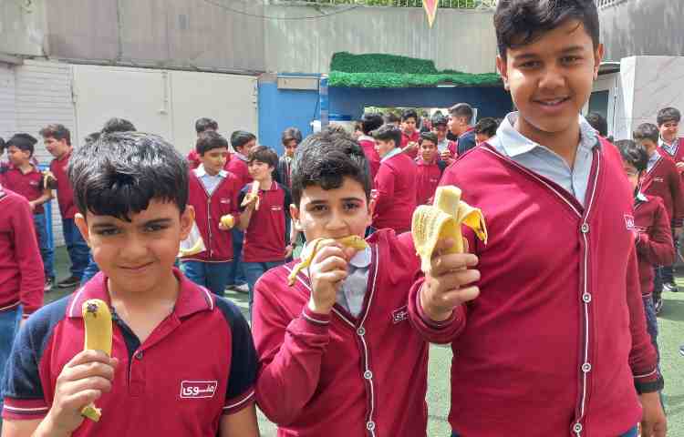 توزیع میان وعده 3