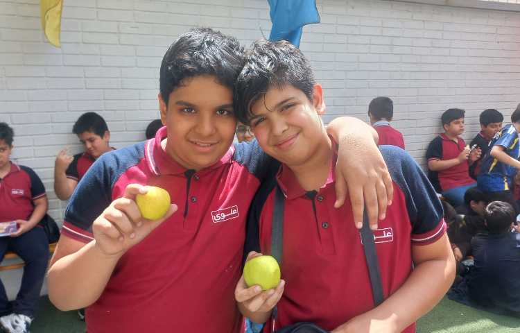 توزیع میان وعده 3