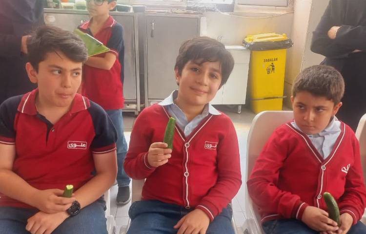 توزیع میان وعده 3