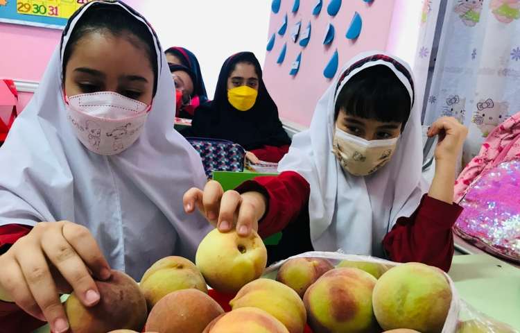 توزیع میان وعده 4