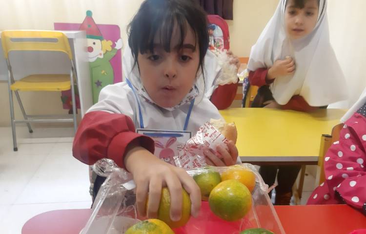 توزیع میان وعده 4