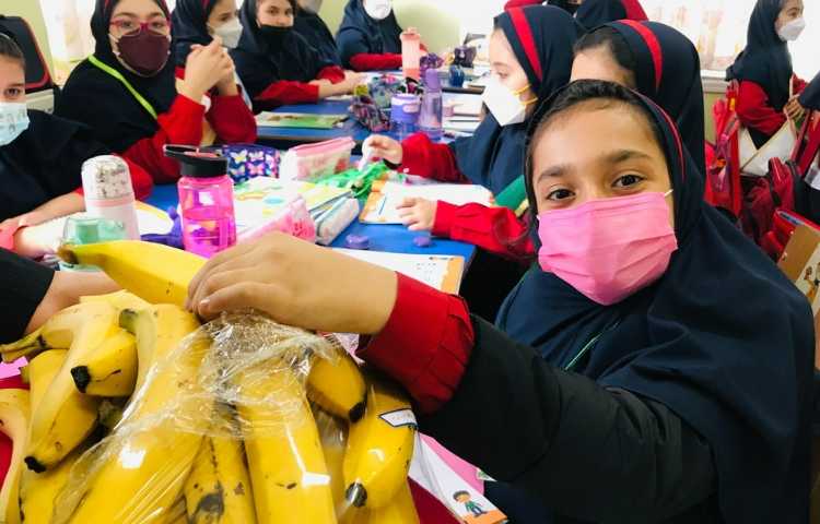 توزیع میان وعده 4