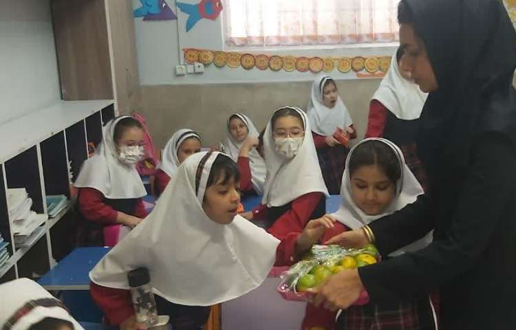 توزیع میان وعده 4