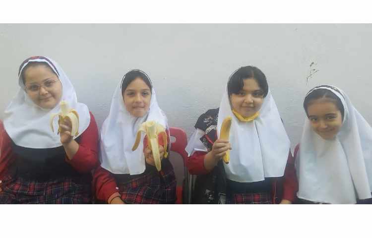 توزیع میان وعده 4