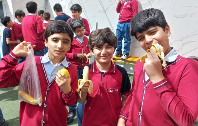 توزیع میان وعده 4