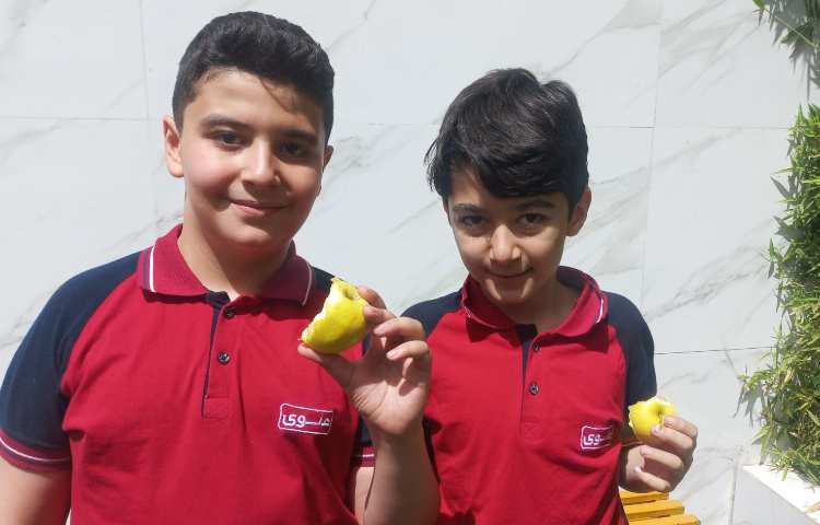 توزیع میان وعده 4