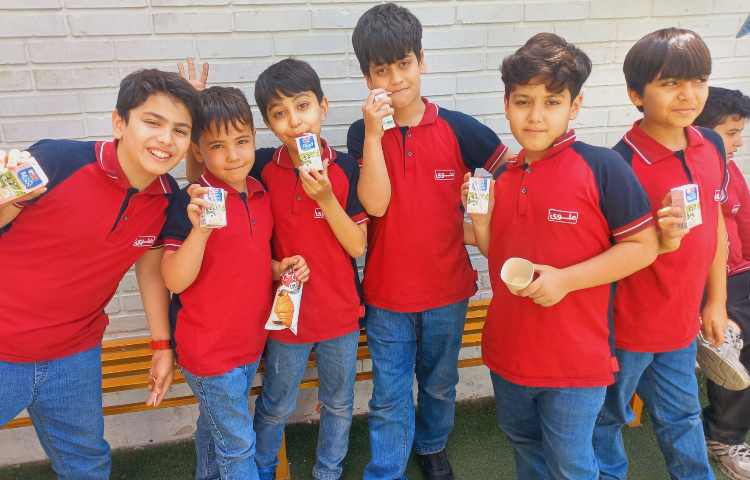 توزیع میان وعده 4