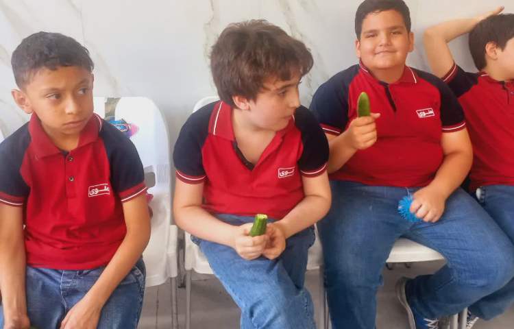 توزیع میان وعده 4