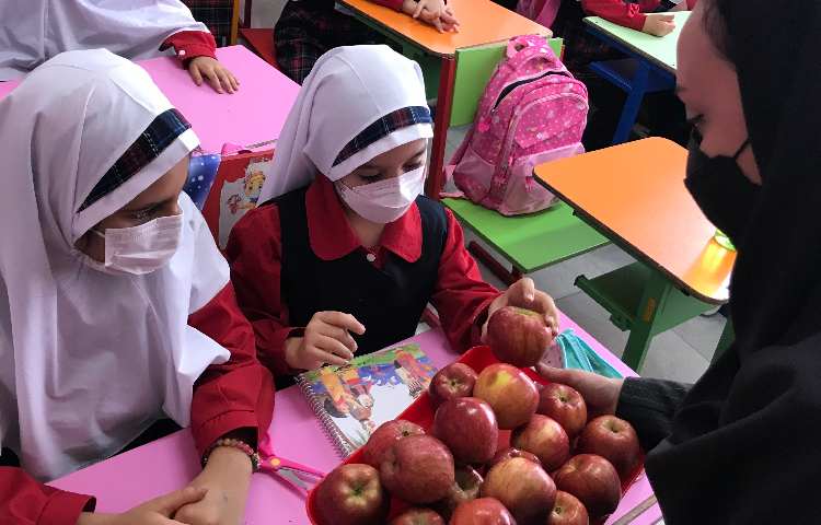 توزیع میان وعده 5