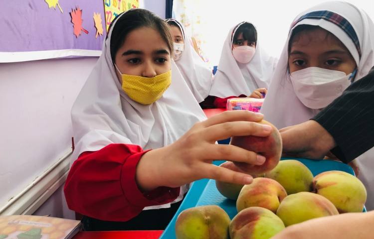 توزیع میان وعده 5