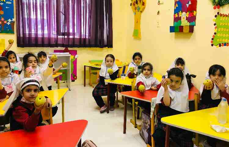 توزیع میان وعده 5