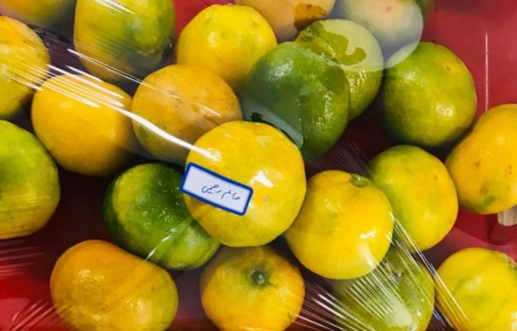 توزیع میان وعده 5