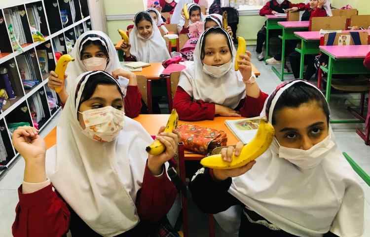 توزیع میان وعده 5