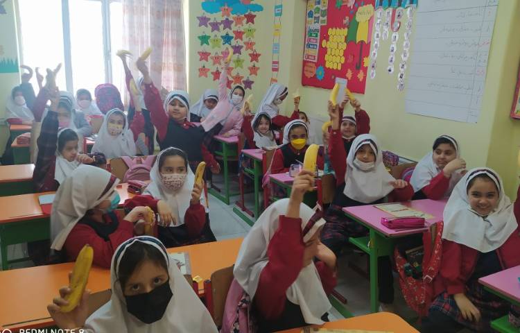 توزیع میان وعده 5