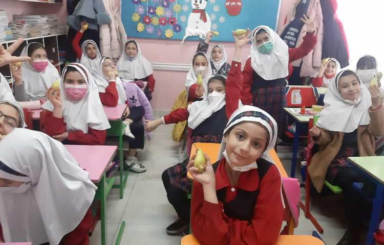 توزیع میان وعده 5