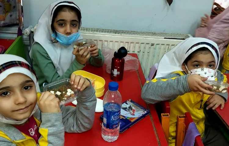 توزیع میان وعده 5