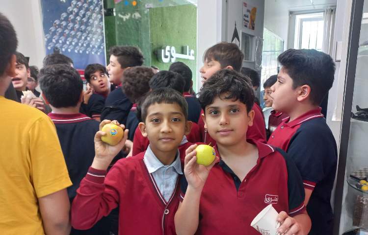 توزیع میان وعده 5