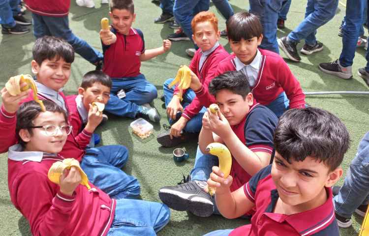 توزیع میان وعده 5