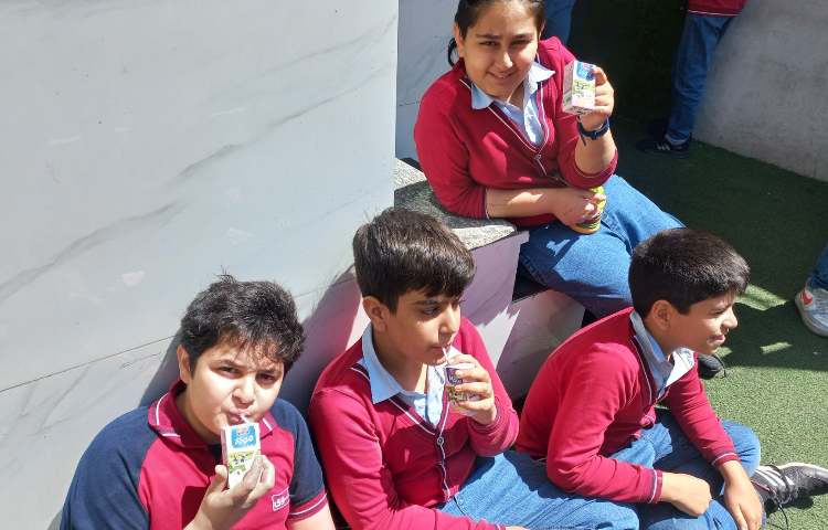 توزیع میان وعده 5