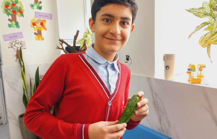 توزیع میان وعده 5