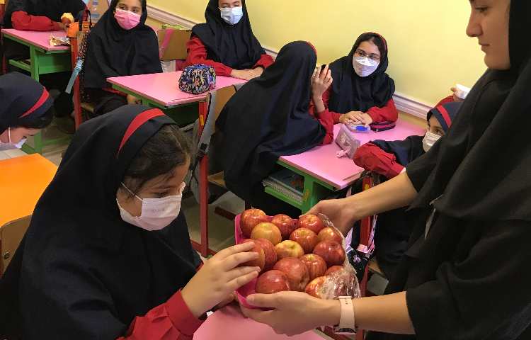 توزیع میان وعده 6