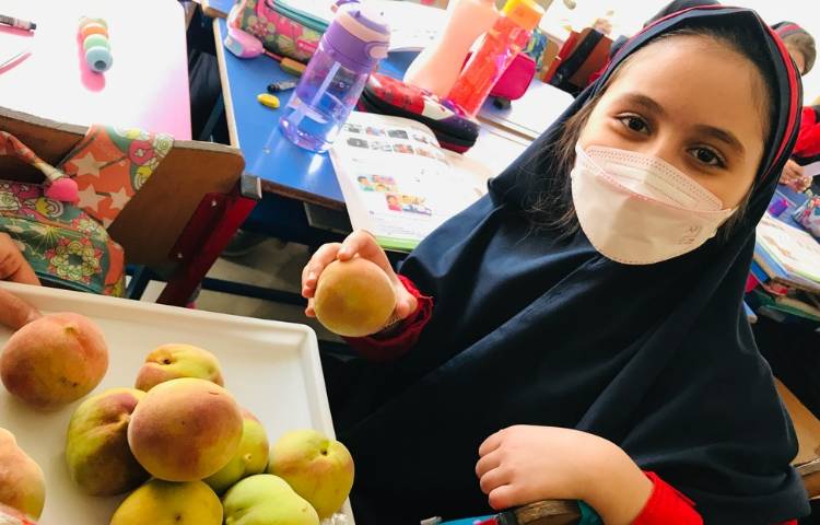 توزیع میان وعده 6