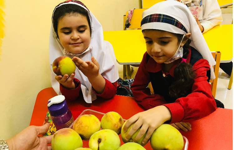 توزیع میان وعده 6