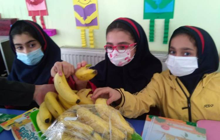 توزیع میان وعده 6