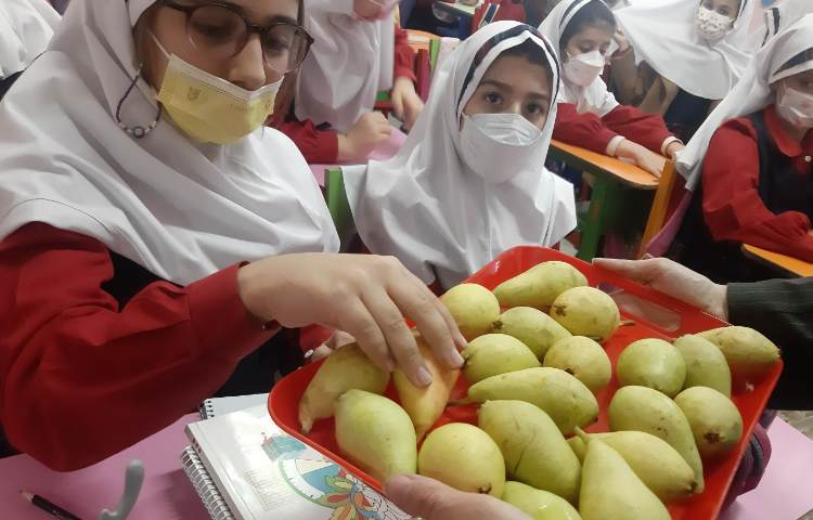 توزیع میان وعده 6