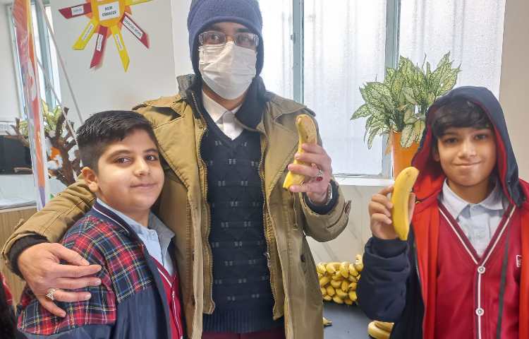 توزیع میان وعده 6