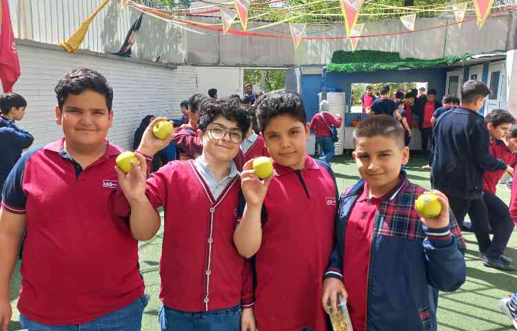 توزیع میان وعده 6