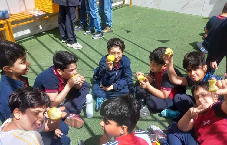 توزیع میان وعده 6